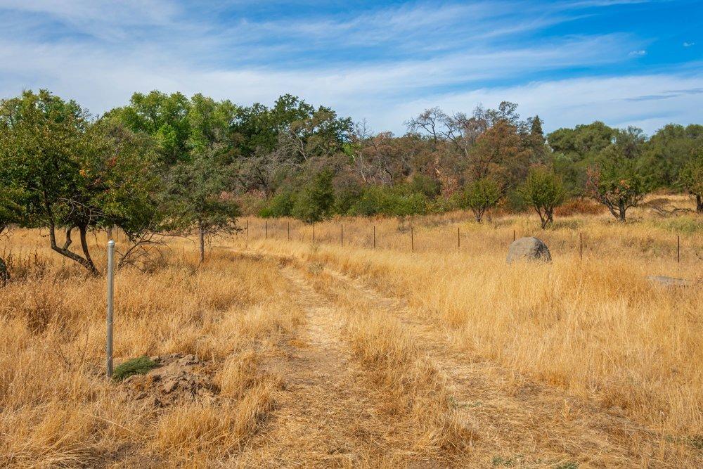 Detail Gallery Image 96 of 99 For 4850 Hansen Rd, Loomis,  CA 95650 - 2 Beds | 2 Baths