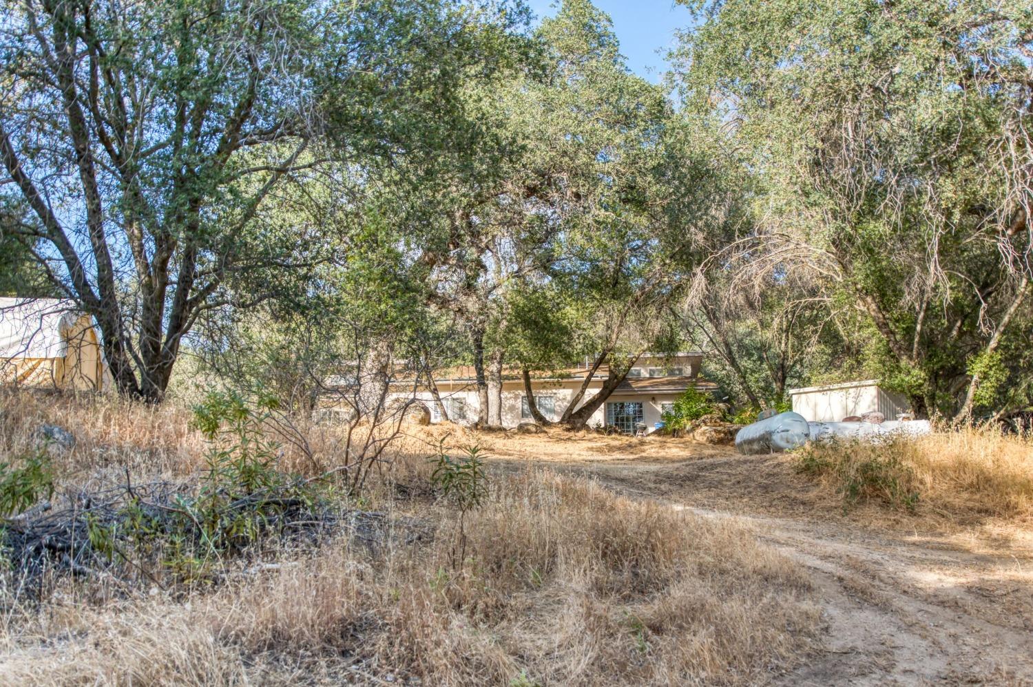 Detail Gallery Image 18 of 74 For 43867 Trabuco Ct, Coarsegold,  CA 93614 - 4 Beds | 4 Baths