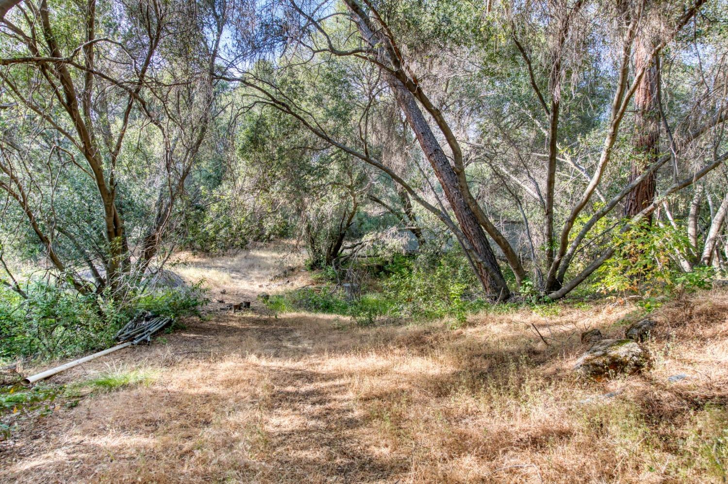 Detail Gallery Image 15 of 74 For 43867 Trabuco Ct, Coarsegold,  CA 93614 - 4 Beds | 4 Baths