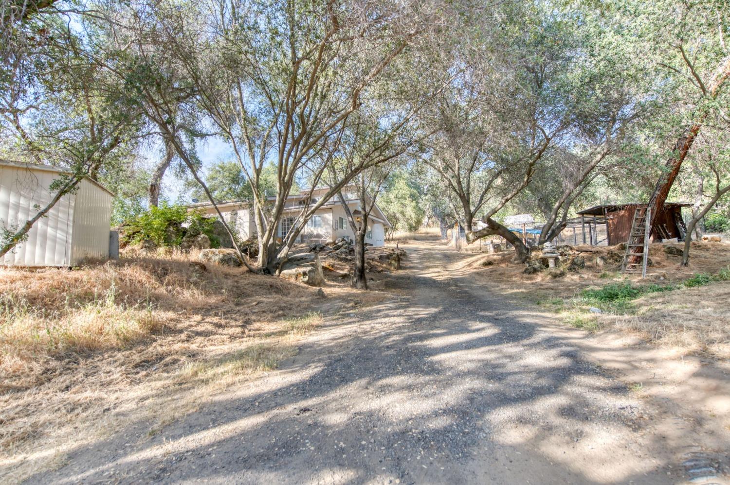 Detail Gallery Image 4 of 74 For 43867 Trabuco Ct, Coarsegold,  CA 93614 - 4 Beds | 4 Baths