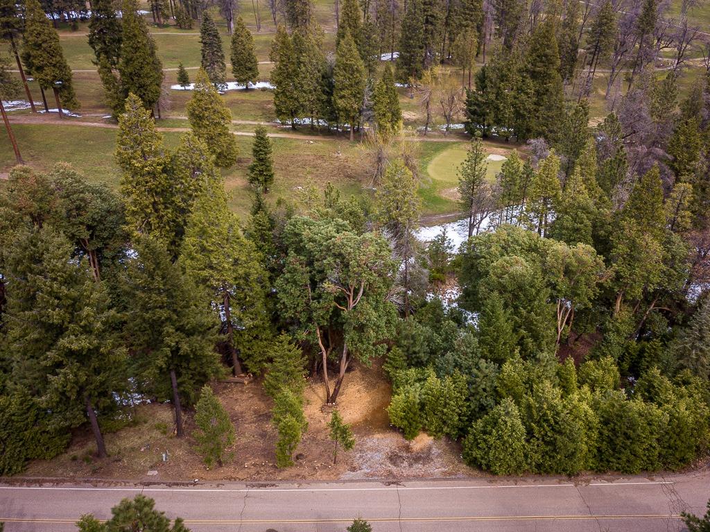 Golf Links, Pioneer, California image 11