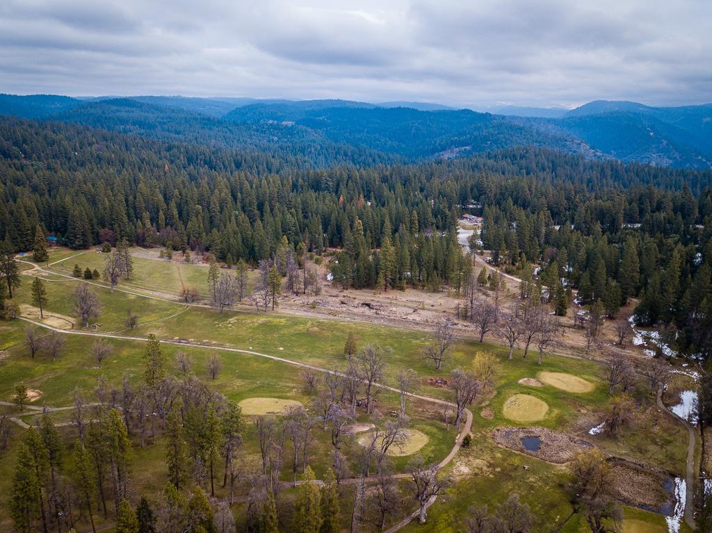 Golf Links, Pioneer, California image 19