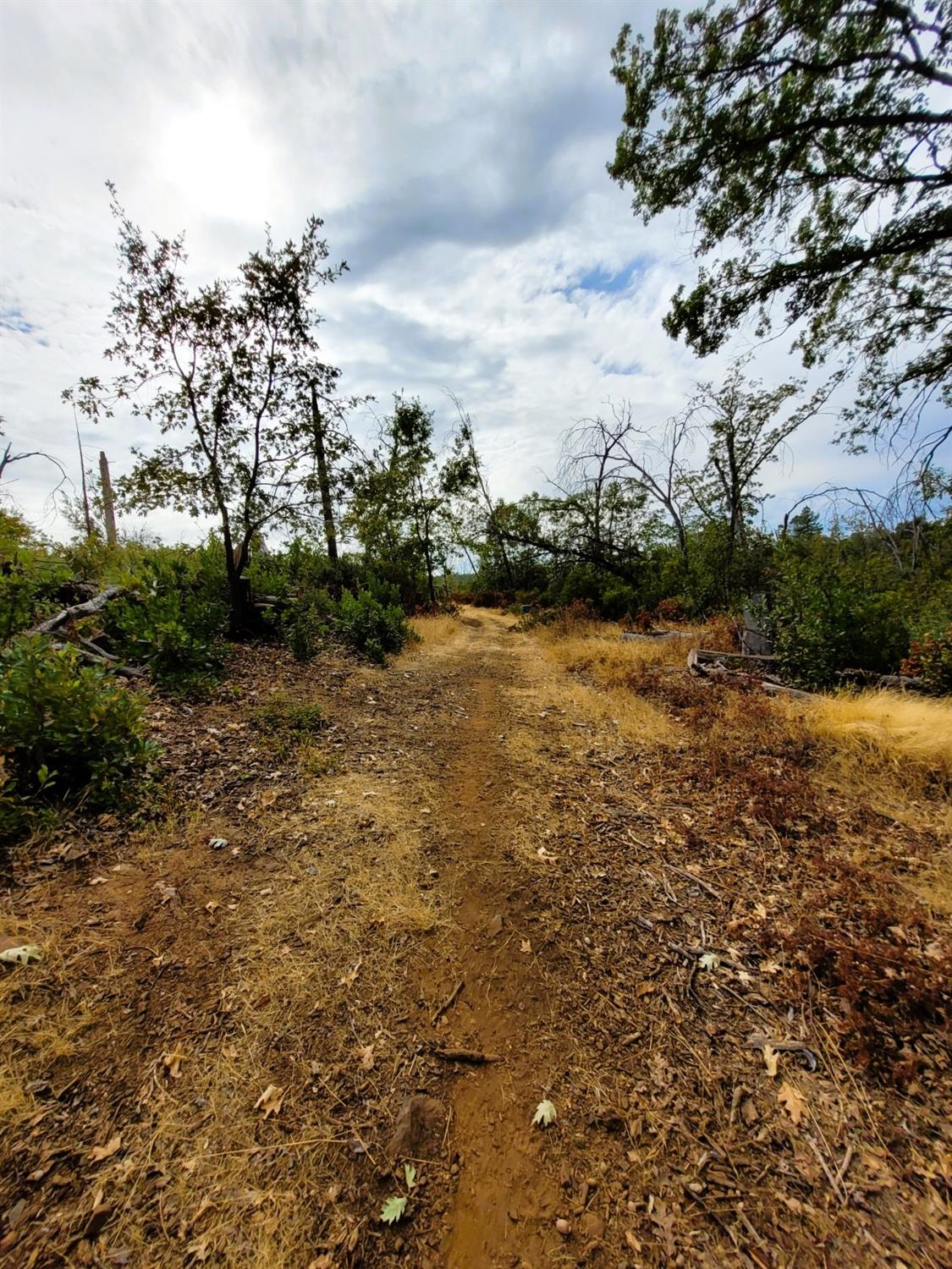 Wendell Road, Mountain Ranch, California image 44