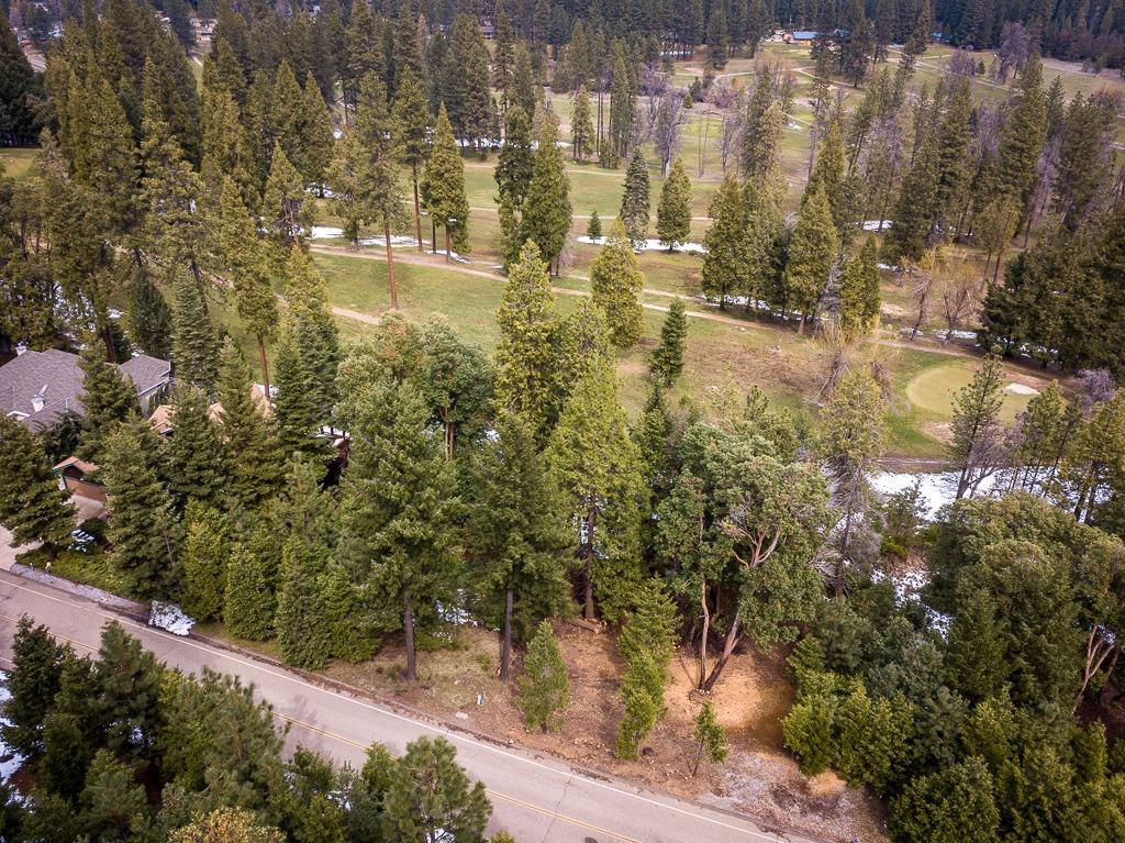 Golf Links, Pioneer, California image 1