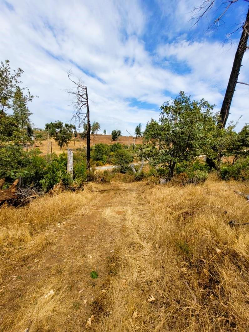 Wendell Road, Mountain Ranch, California image 50