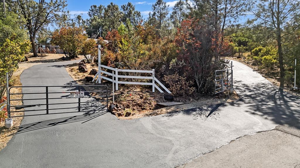 Pineoakyo Court, Rescue, California image 8