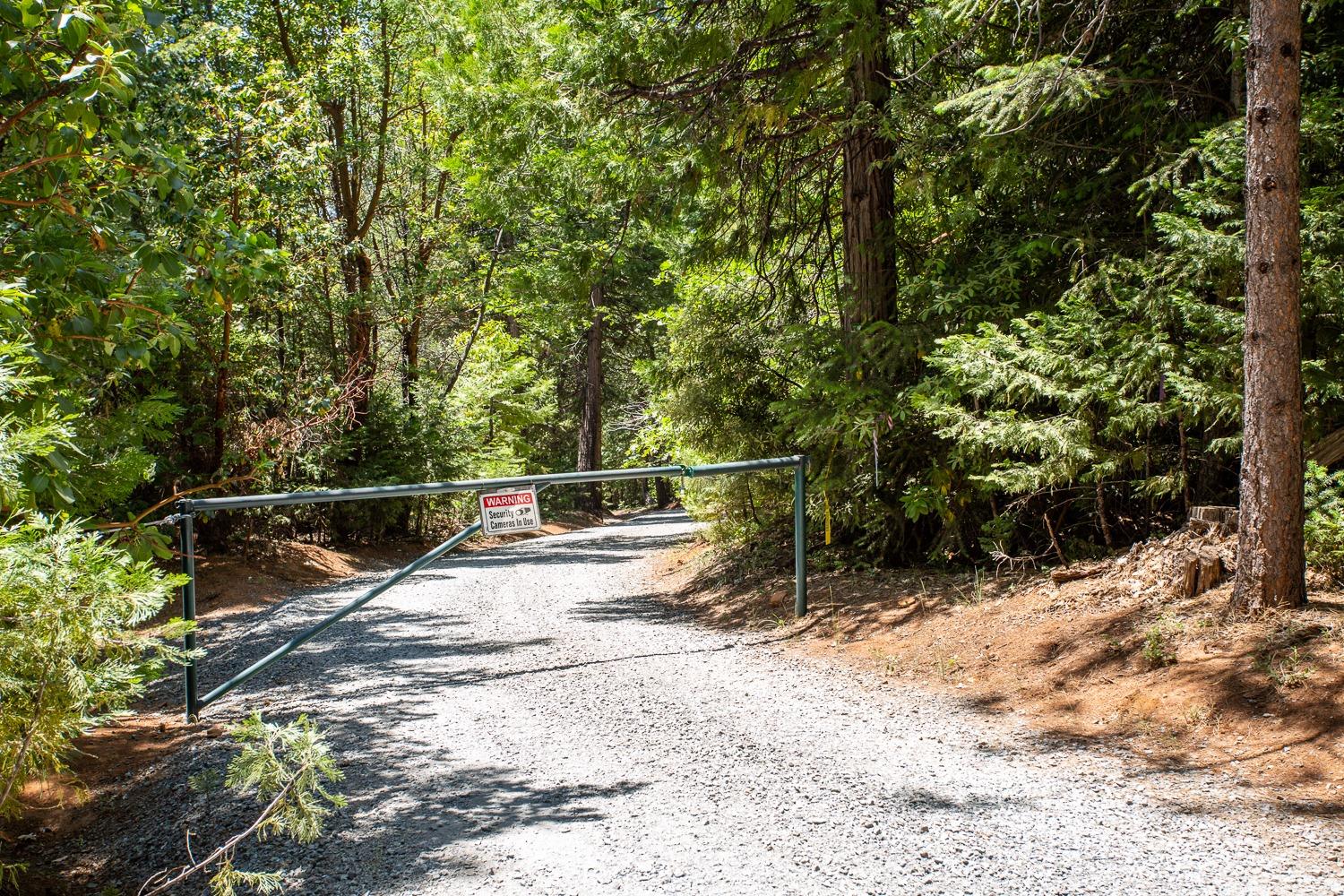 Volcanoville Road, Georgetown, California image 5