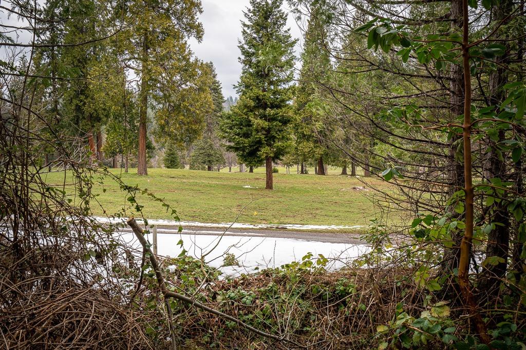 Golf Links, Pioneer, California image 7