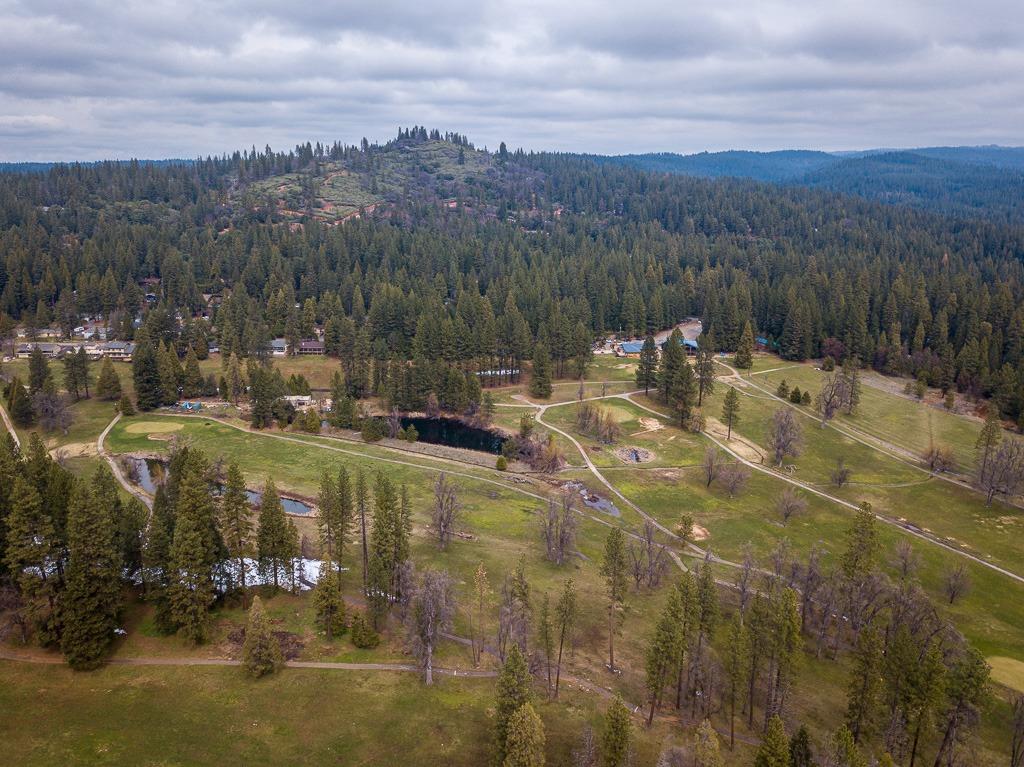 Golf Links, Pioneer, California image 20