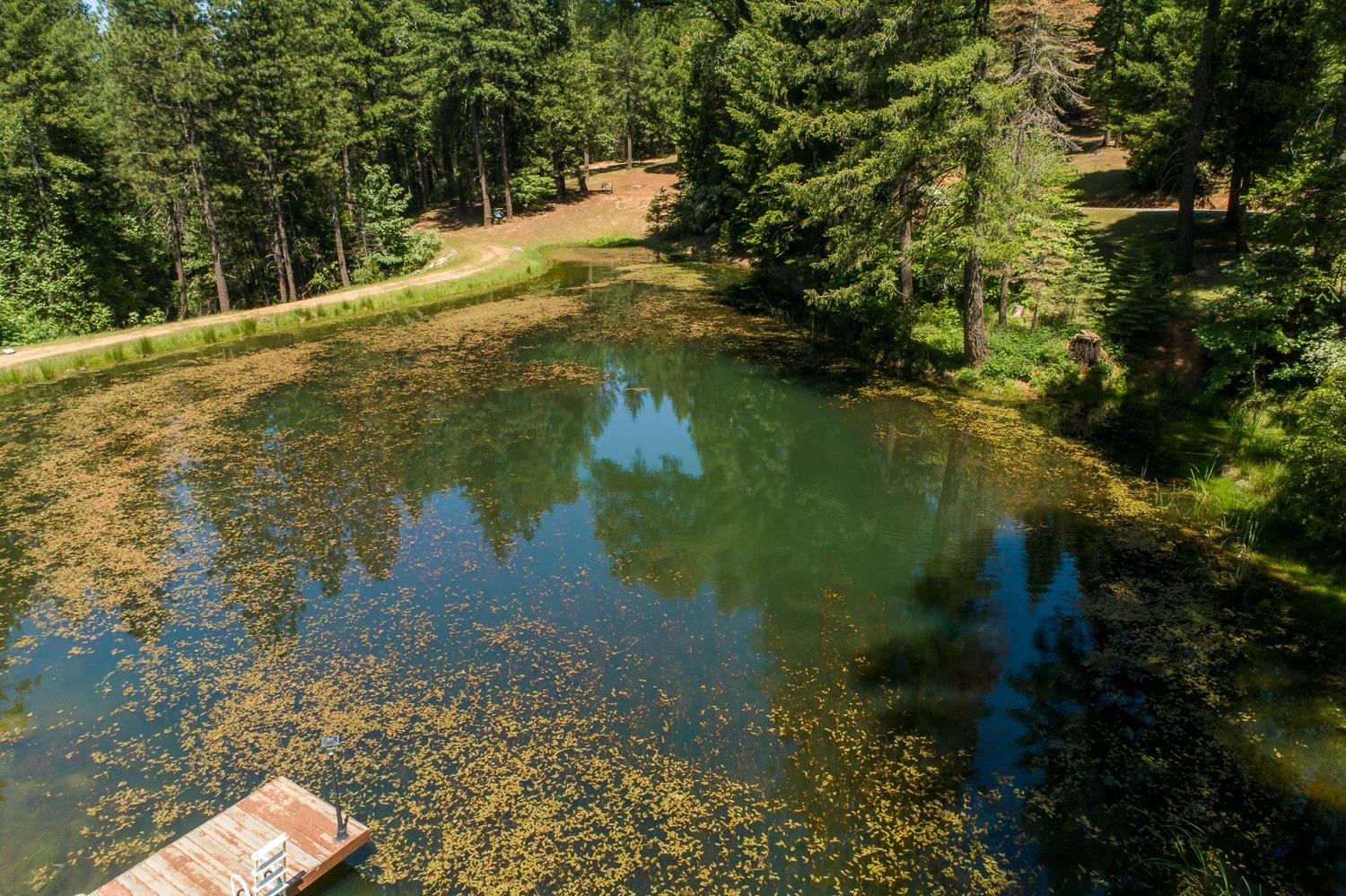 Volcanoville Road, Georgetown, California image 3