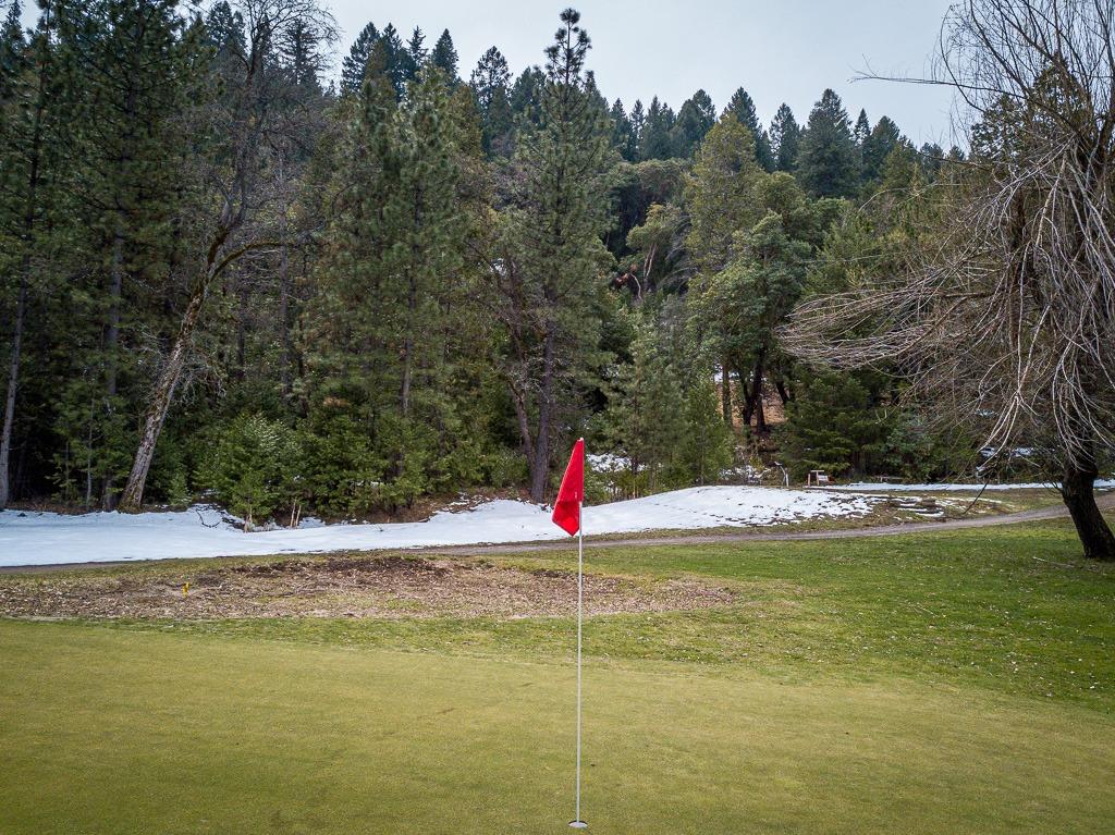 Golf Links, Pioneer, California image 5