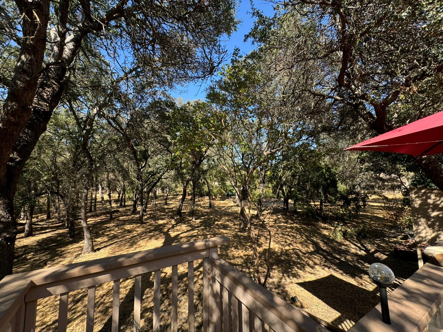 Detail Gallery Image 44 of 49 For 8185 Shane Ln, Citrus Heights,  CA 95610 - 3 Beds | 2 Baths