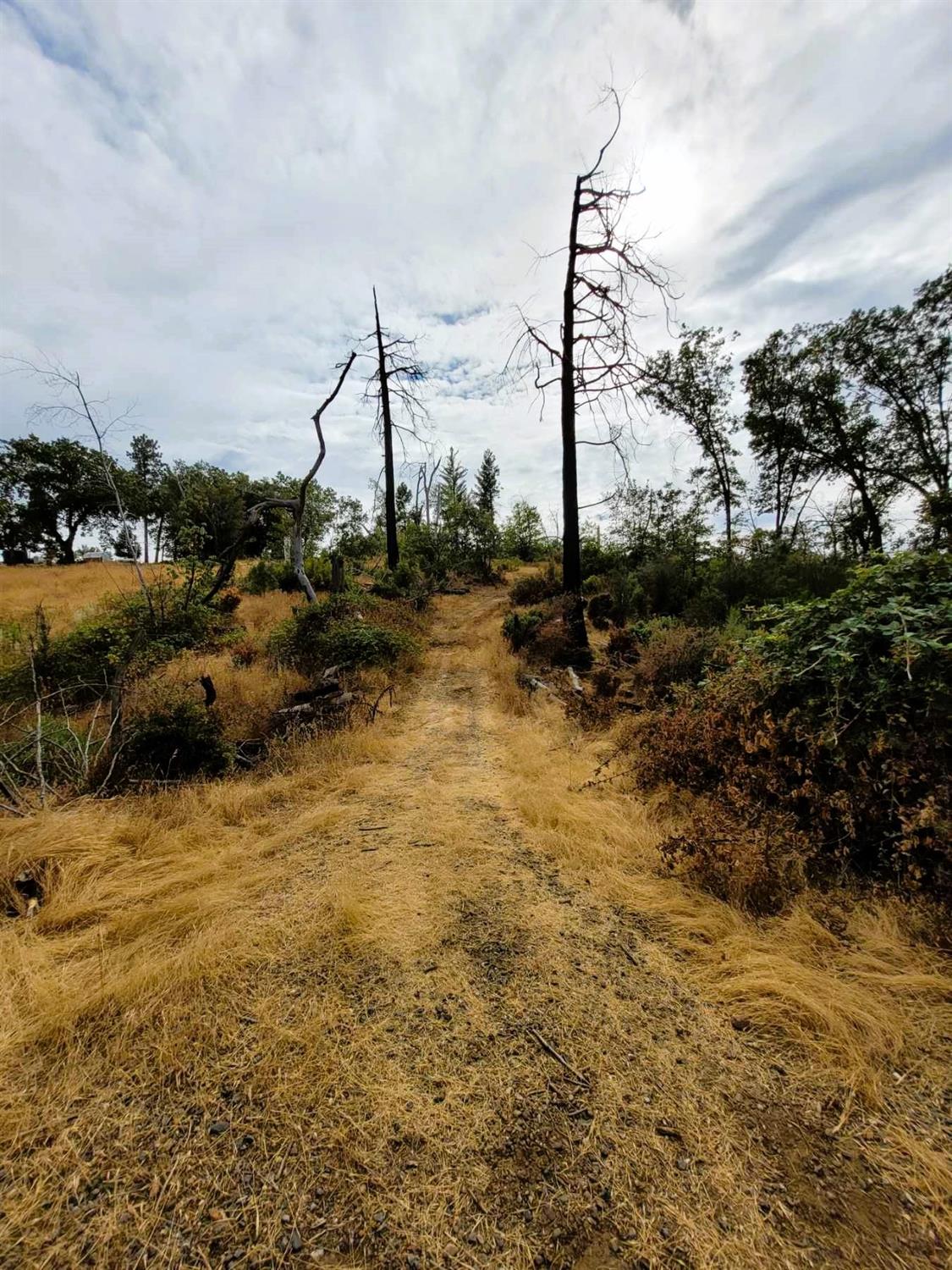 Wendell Road, Mountain Ranch, California image 43