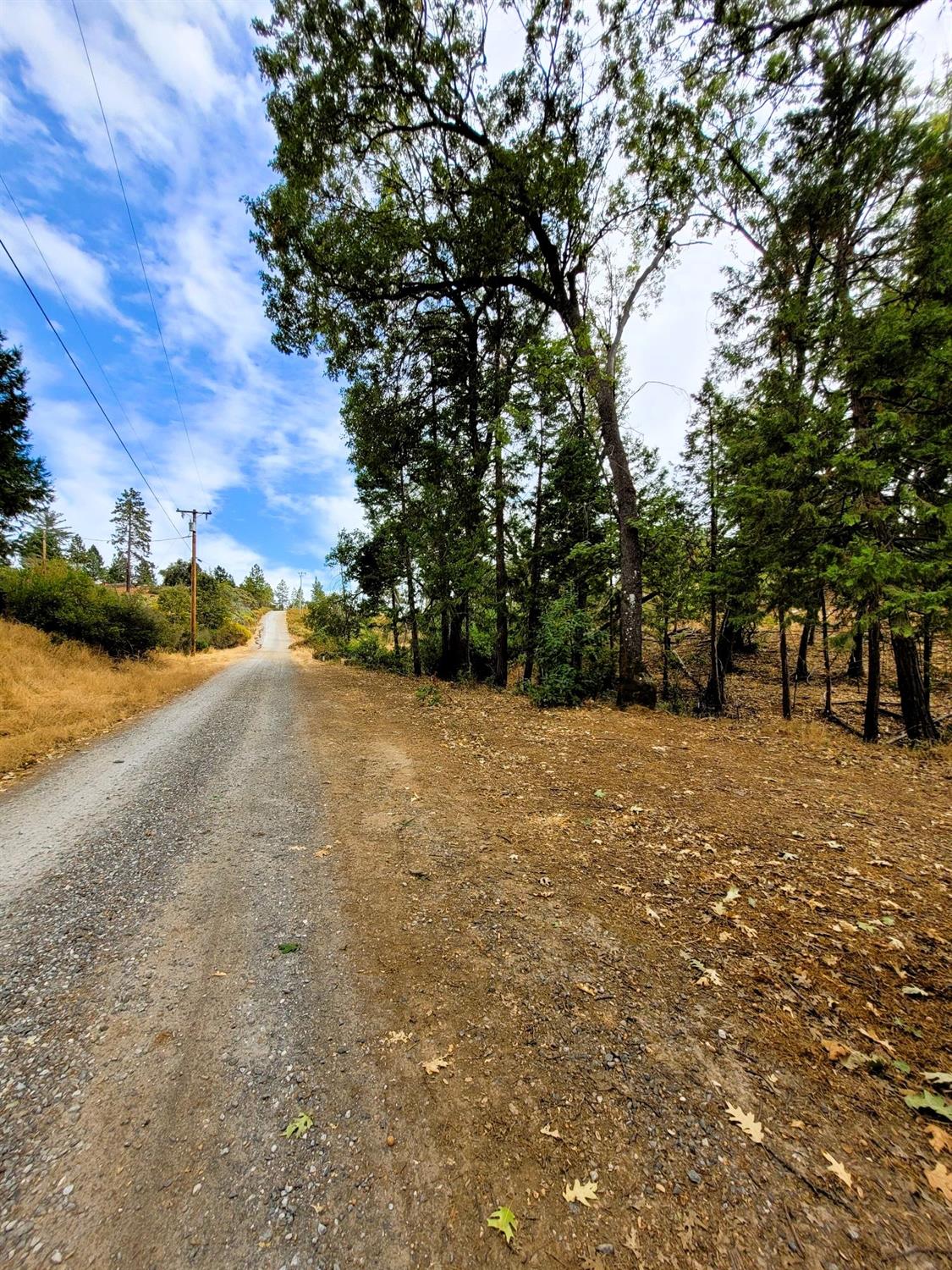 Wendell Road, Mountain Ranch, California image 42