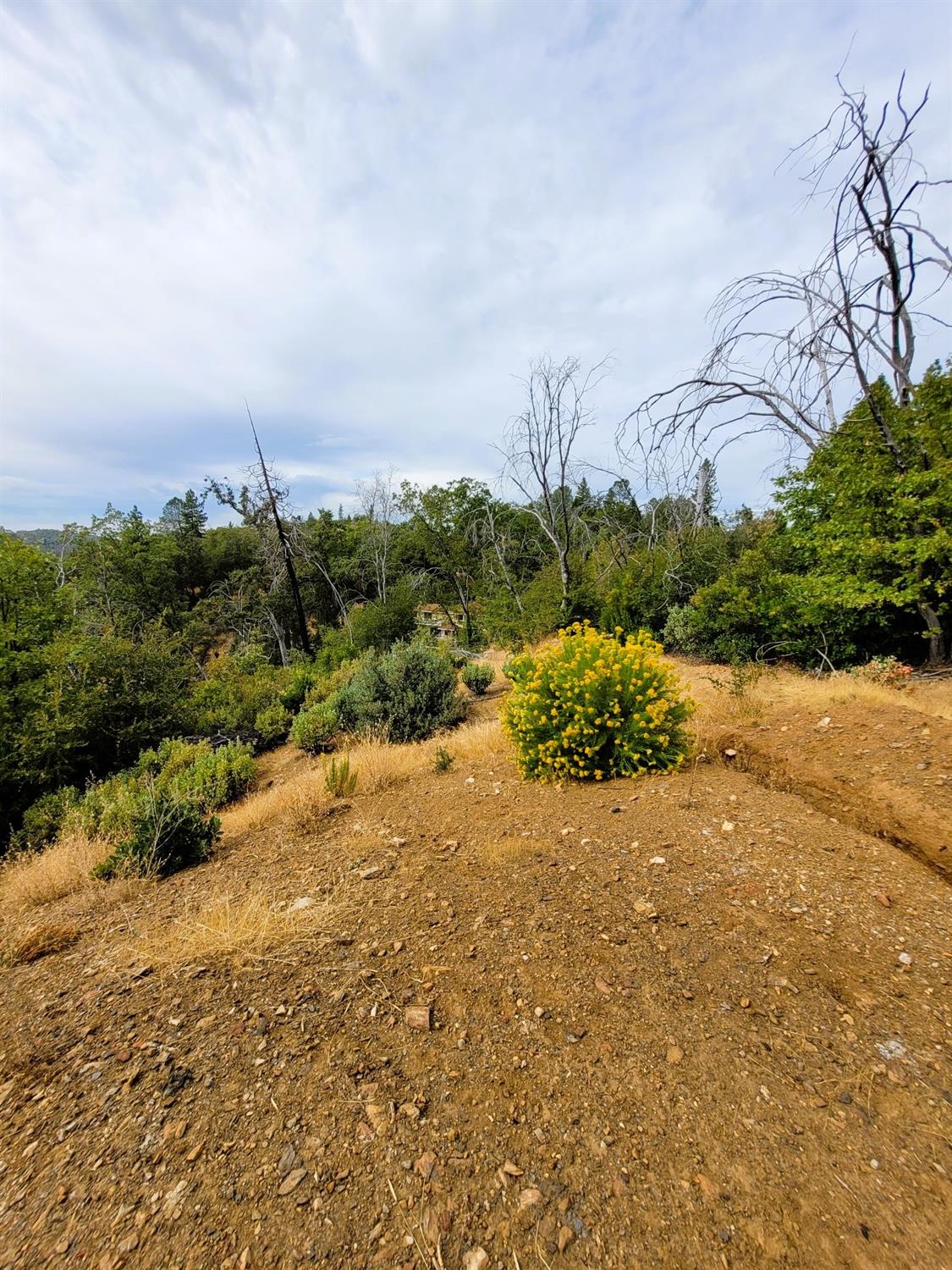 Wendell Road, Mountain Ranch, California image 47