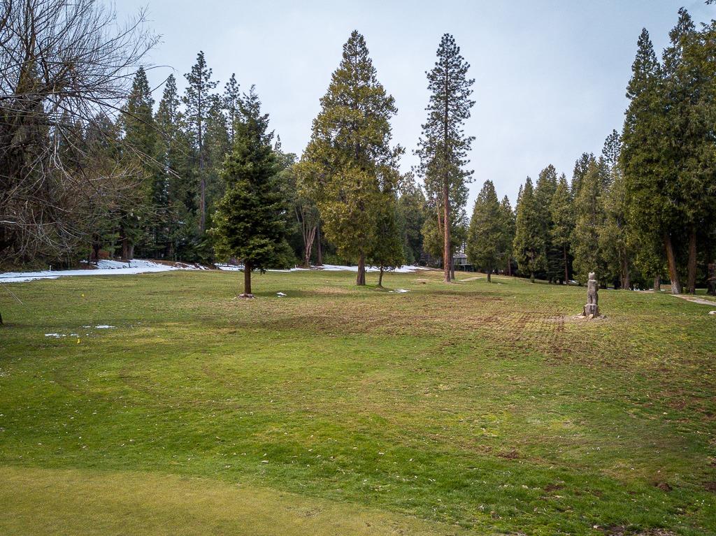 Golf Links, Pioneer, California image 9