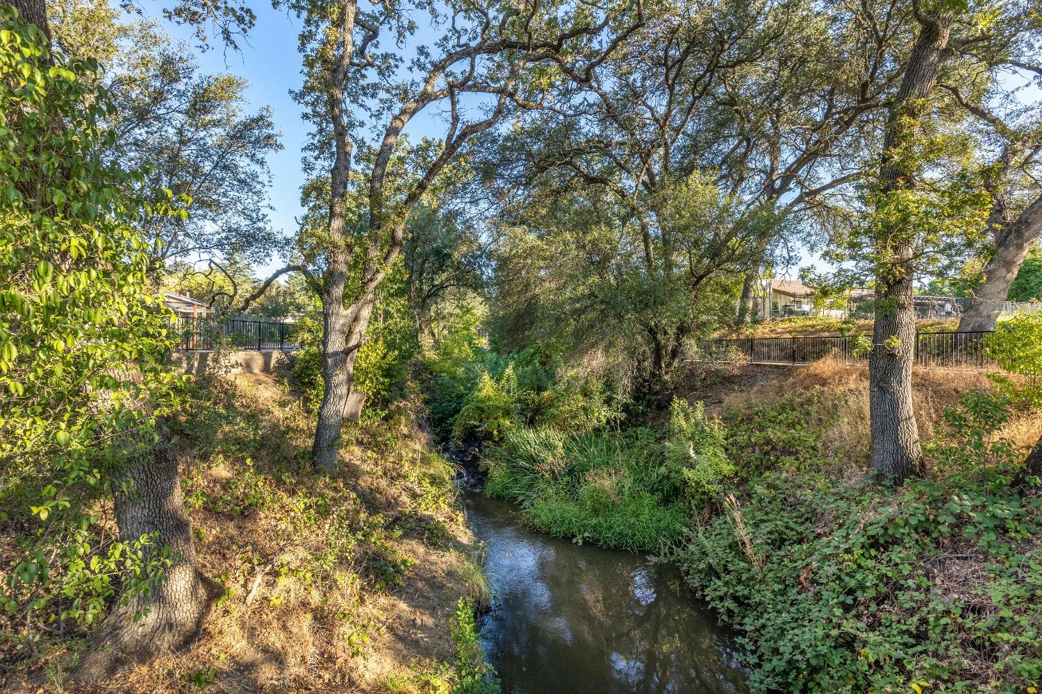 Detail Gallery Image 26 of 62 For 3320 Argonaut Ave, Rocklin,  CA 95677 - 3 Beds | 2 Baths