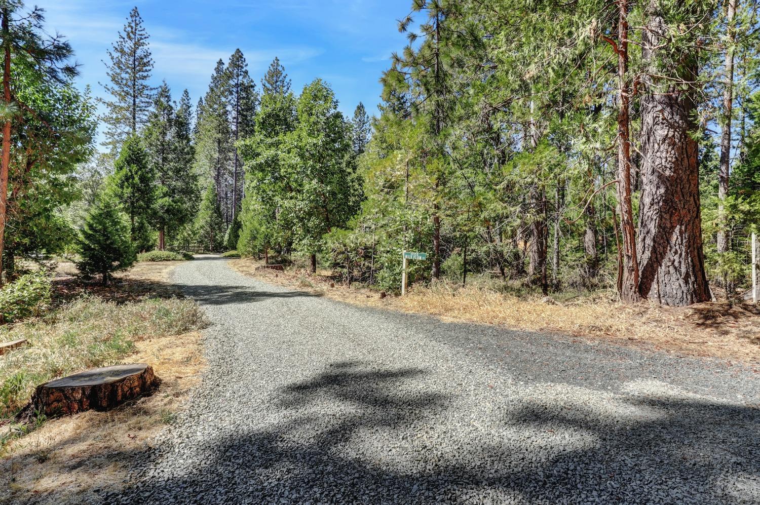 Detail Gallery Image 94 of 97 For 17153 Wild Plum Ln, Nevada City,  CA 95959 - 2 Beds | 2 Baths