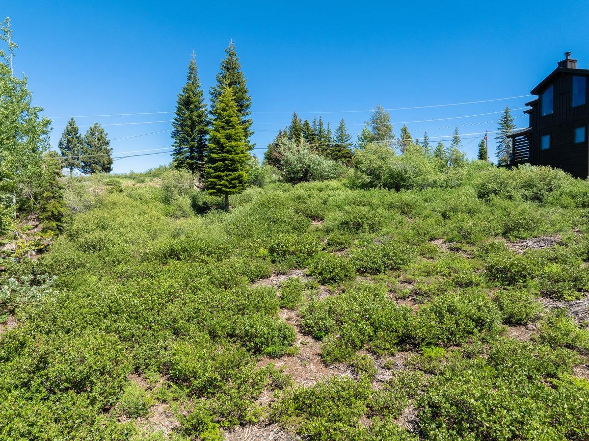 Detail Gallery Image 9 of 18 For 13637 Skislope Way, Truckee,  CA 96161 - – Beds | – Baths