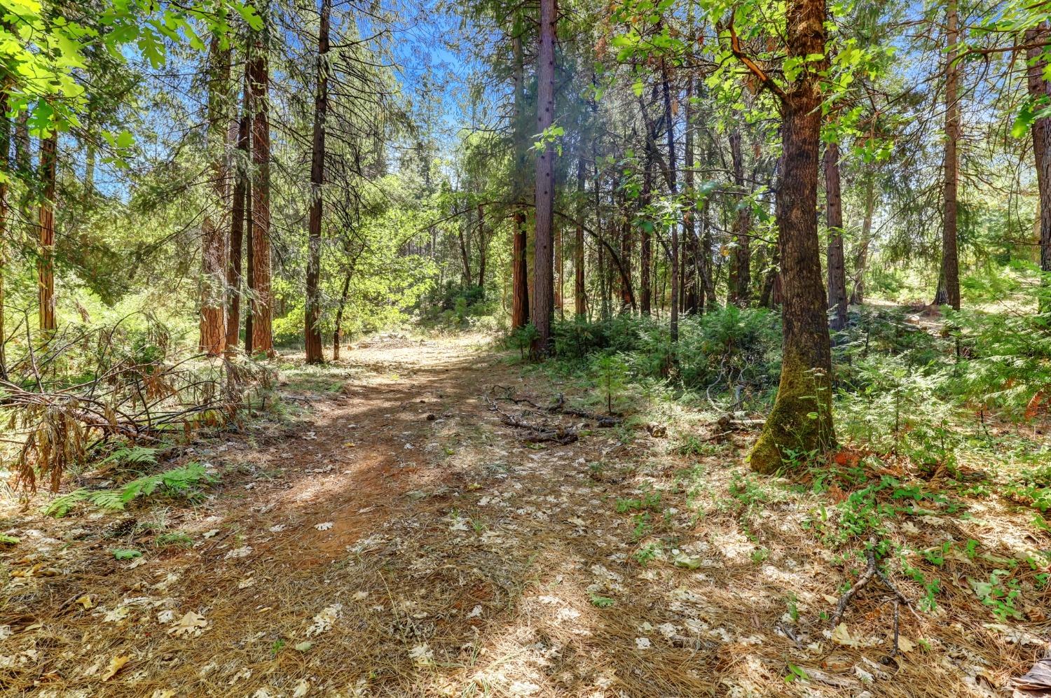 Detail Gallery Image 89 of 97 For 17153 Wild Plum Ln, Nevada City,  CA 95959 - 2 Beds | 2 Baths