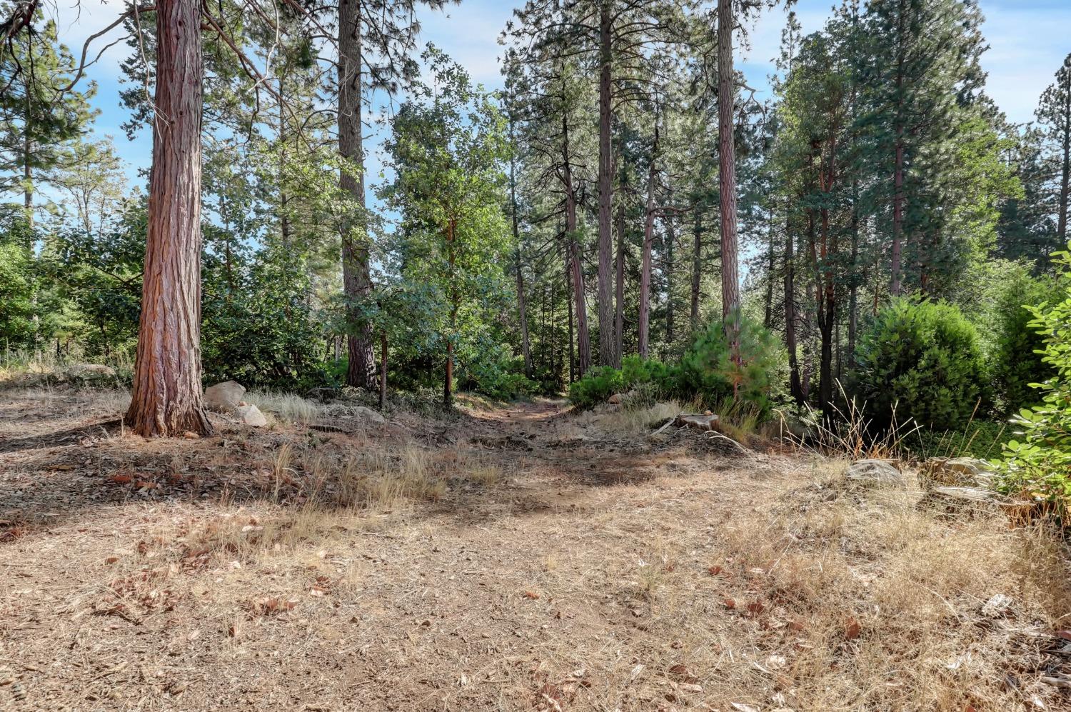 Detail Gallery Image 73 of 97 For 17153 Wild Plum Ln, Nevada City,  CA 95959 - 2 Beds | 2 Baths