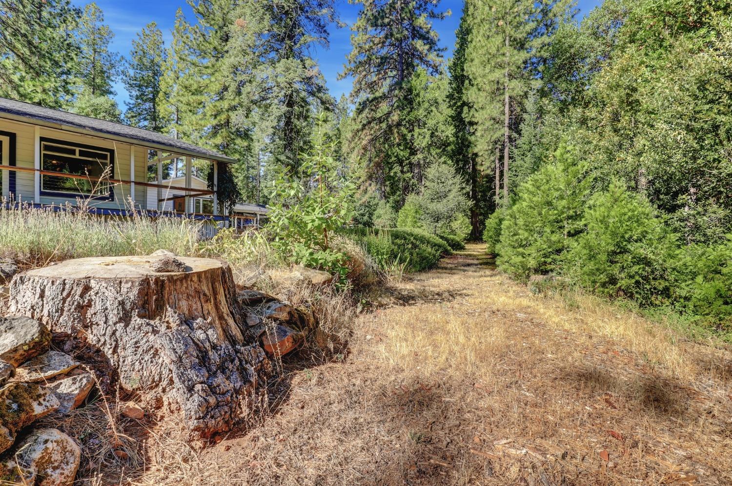 Detail Gallery Image 78 of 97 For 17153 Wild Plum Ln, Nevada City,  CA 95959 - 2 Beds | 2 Baths