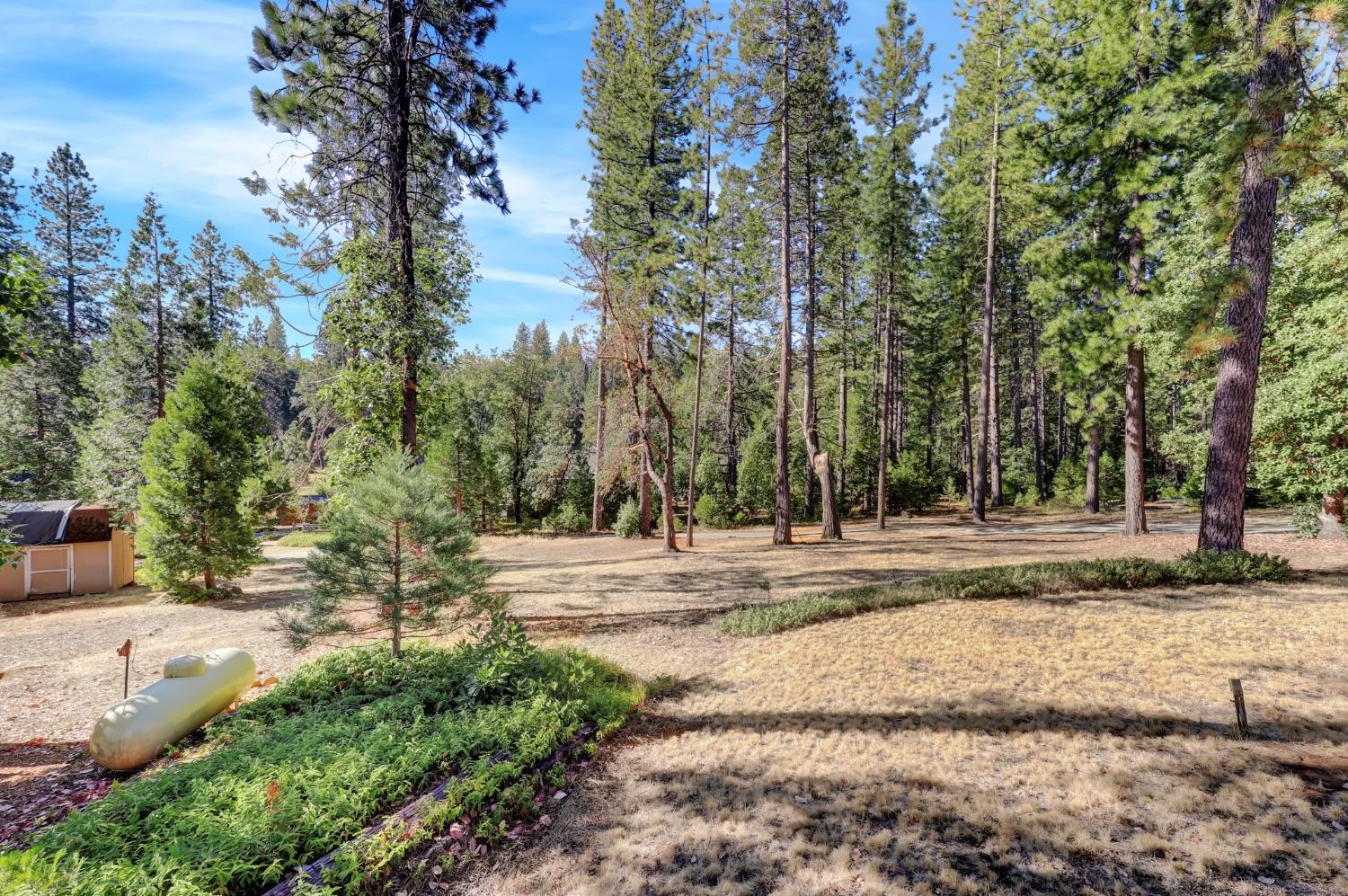 Detail Gallery Image 65 of 97 For 17153 Wild Plum Ln, Nevada City,  CA 95959 - 2 Beds | 2 Baths