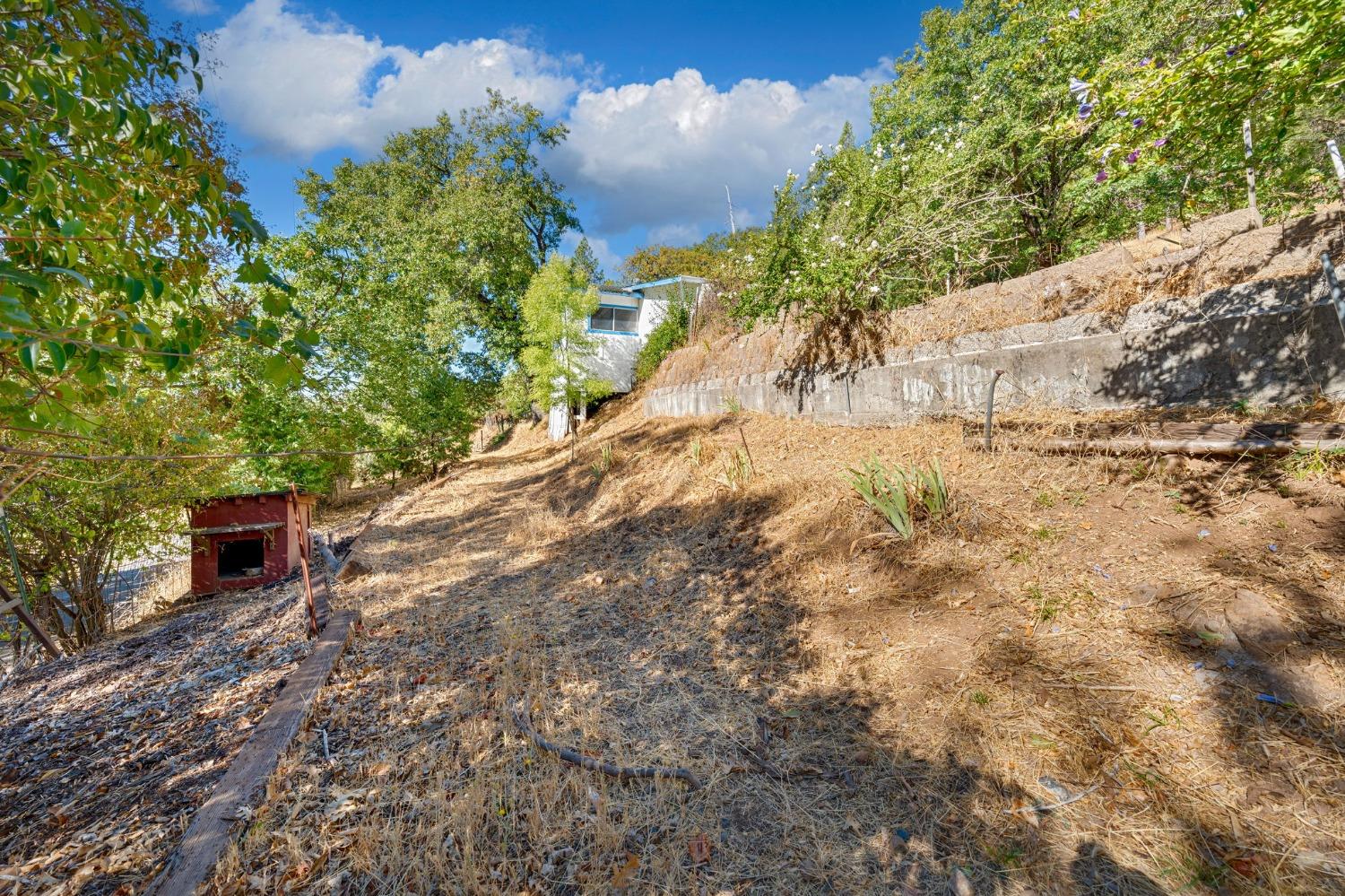 Detail Gallery Image 45 of 68 For 3508 Braden Ln, Camino,  CA 95709 - 3 Beds | 2 Baths