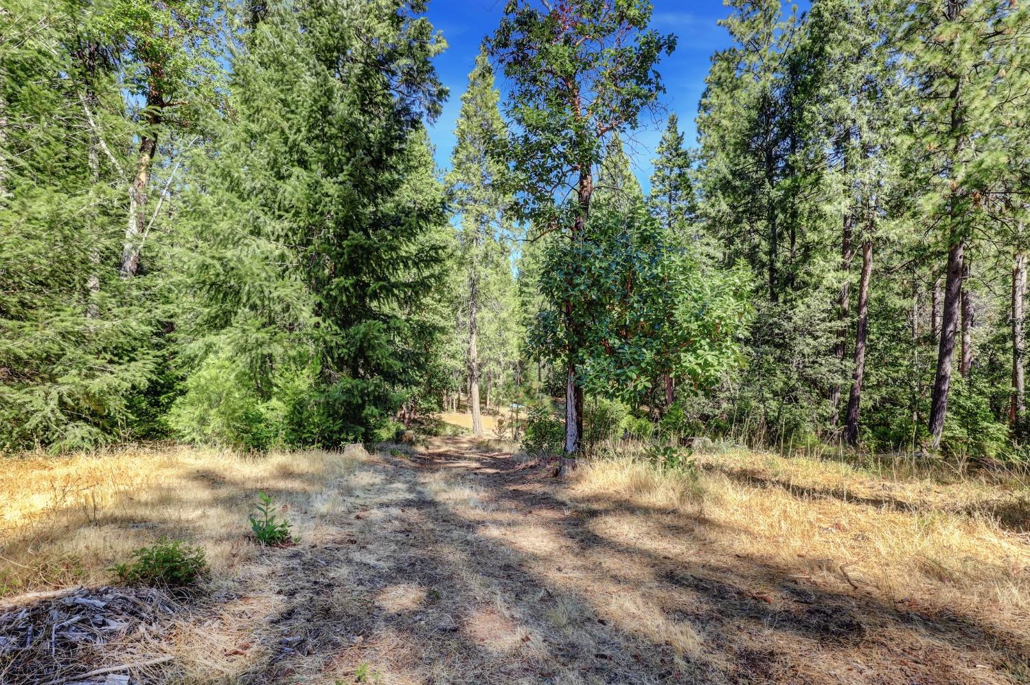 Detail Gallery Image 90 of 97 For 17153 Wild Plum Ln, Nevada City,  CA 95959 - 2 Beds | 2 Baths