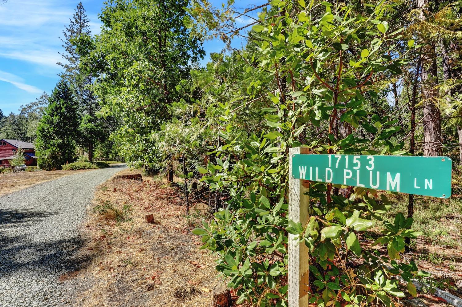 Detail Gallery Image 95 of 97 For 17153 Wild Plum Ln, Nevada City,  CA 95959 - 2 Beds | 2 Baths