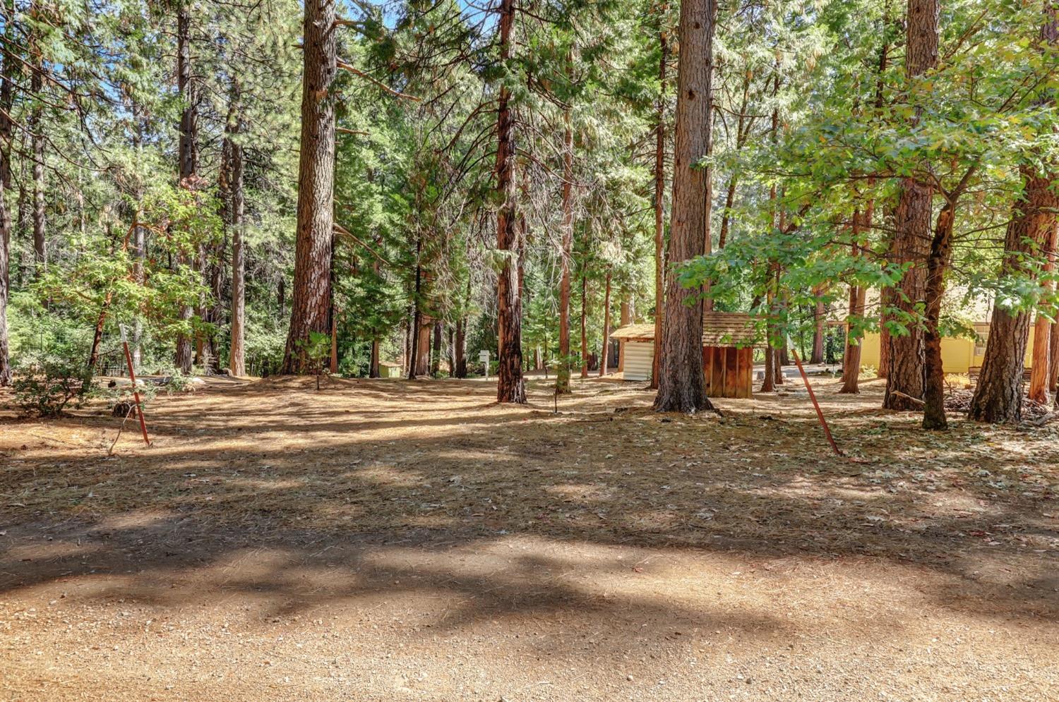 Detail Gallery Image 88 of 97 For 17153 Wild Plum Ln, Nevada City,  CA 95959 - 2 Beds | 2 Baths