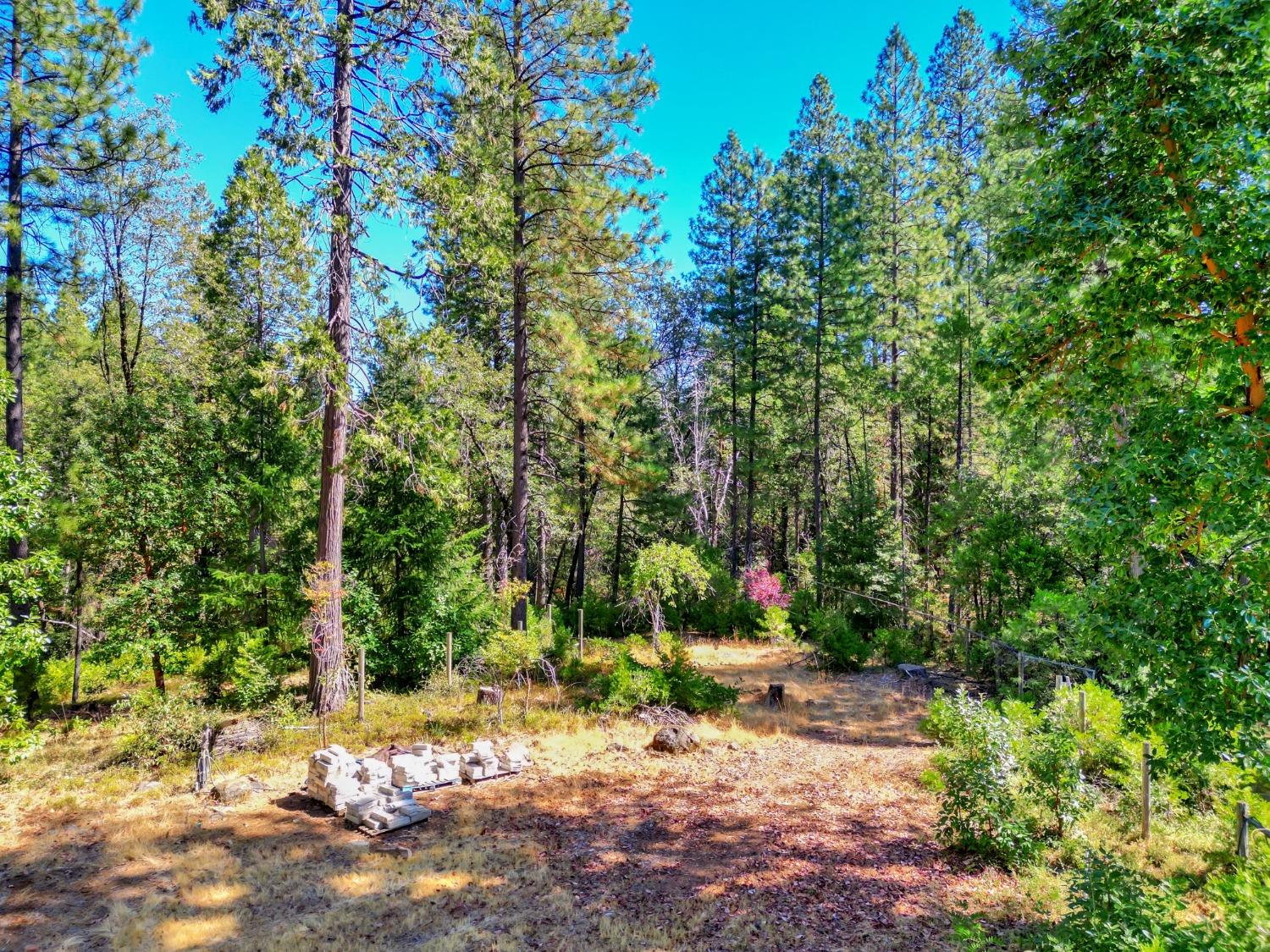 Detail Gallery Image 44 of 97 For 17153 Wild Plum Ln, Nevada City,  CA 95959 - 2 Beds | 2 Baths