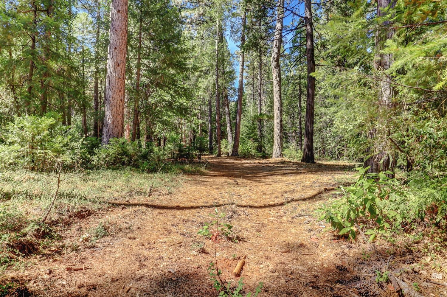 Detail Gallery Image 87 of 97 For 17153 Wild Plum Ln, Nevada City,  CA 95959 - 2 Beds | 2 Baths