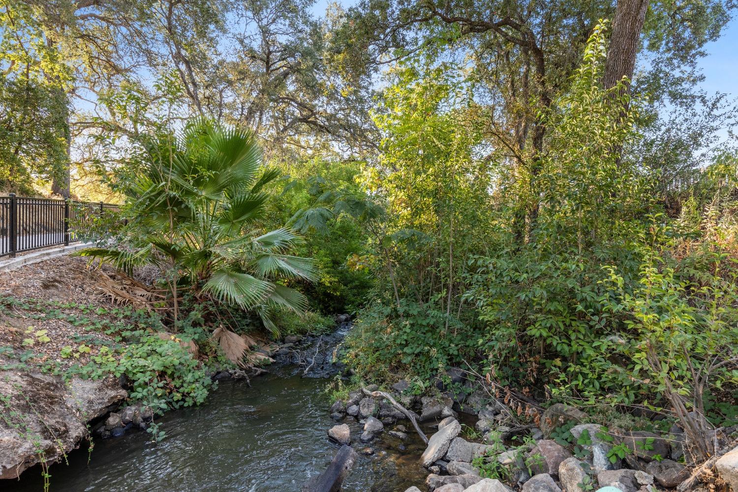 Detail Gallery Image 28 of 62 For 3320 Argonaut Ave, Rocklin,  CA 95677 - 3 Beds | 2 Baths