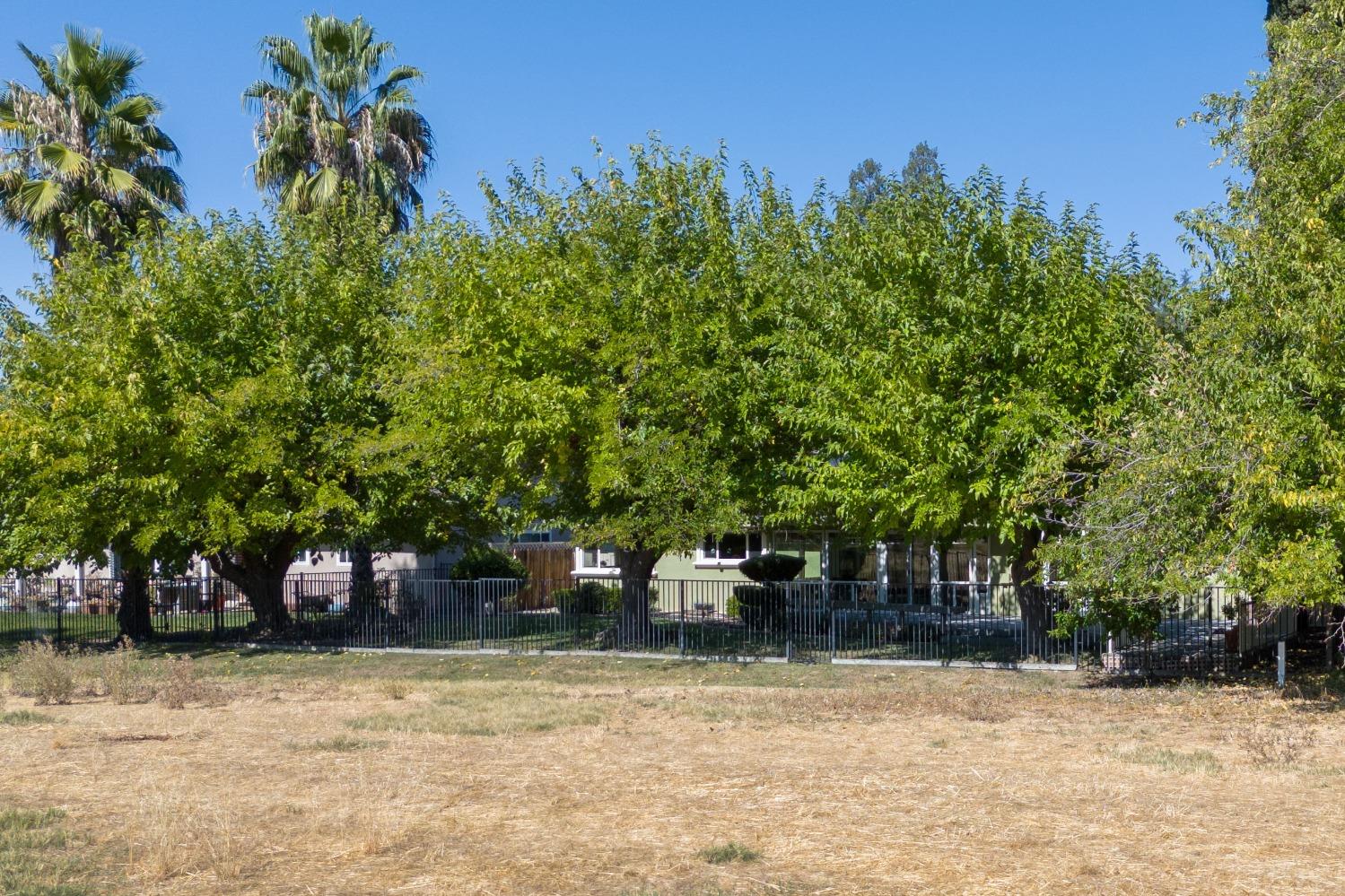 Detail Gallery Image 57 of 62 For 3320 Argonaut Ave, Rocklin,  CA 95677 - 3 Beds | 2 Baths