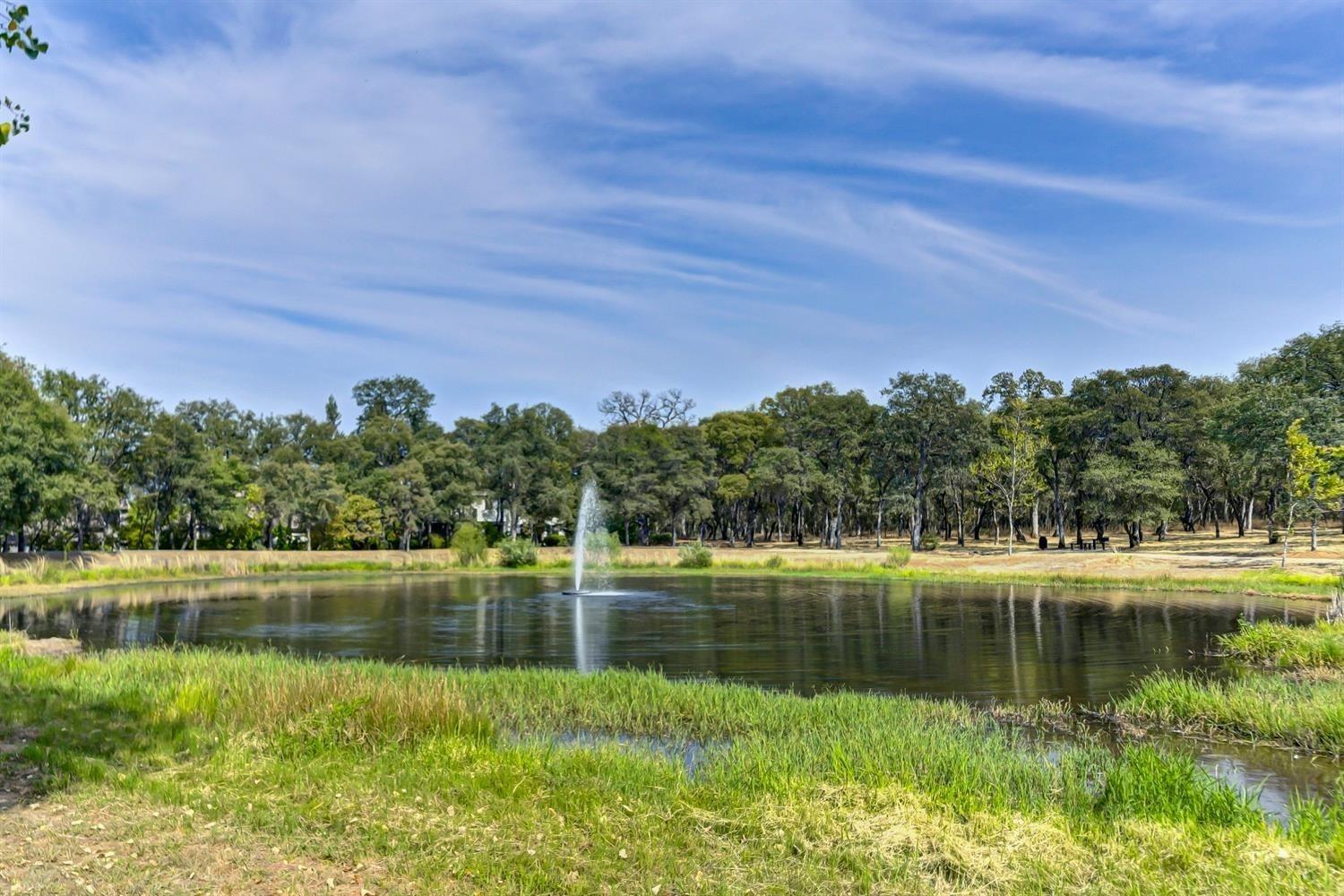 Detail Gallery Image 66 of 67 For 5020 Silverhawk Way, Auburn,  CA 95602 - 4 Beds | 3/1 Baths