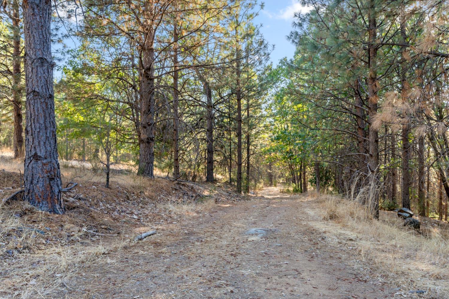 Detail Gallery Image 56 of 58 For 14070 Cartwright Way, Nevada City,  CA 95959 - 3 Beds | 2/1 Baths