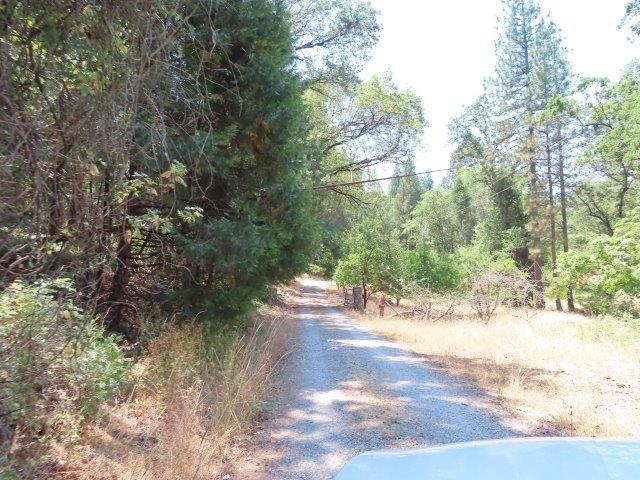 Ponderosa Annex Road, Sutter Creek, California image 3