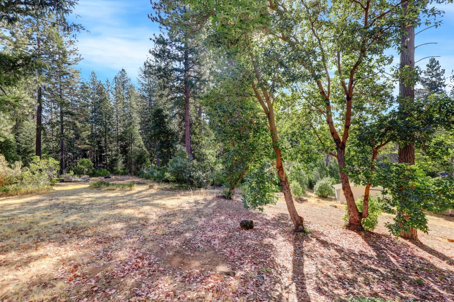 Detail Gallery Image 66 of 97 For 17153 Wild Plum Ln, Nevada City,  CA 95959 - 2 Beds | 2 Baths