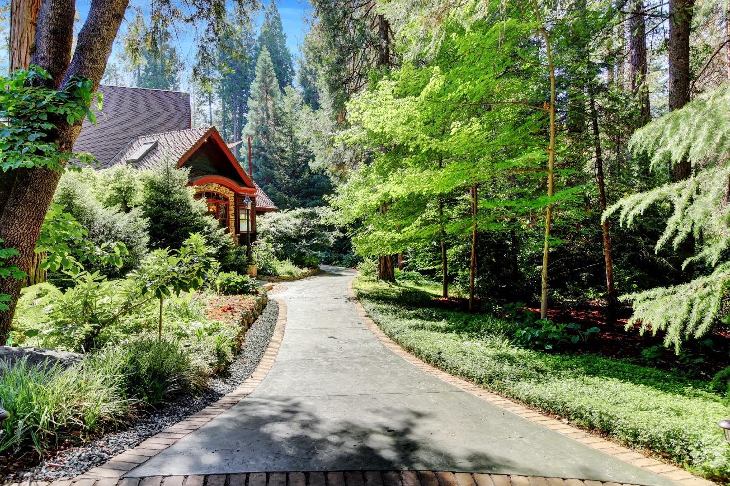 Detail Gallery Image 85 of 96 For 13027 Robin Rd, Nevada City,  CA 95959 - 4 Beds | 5/2 Baths