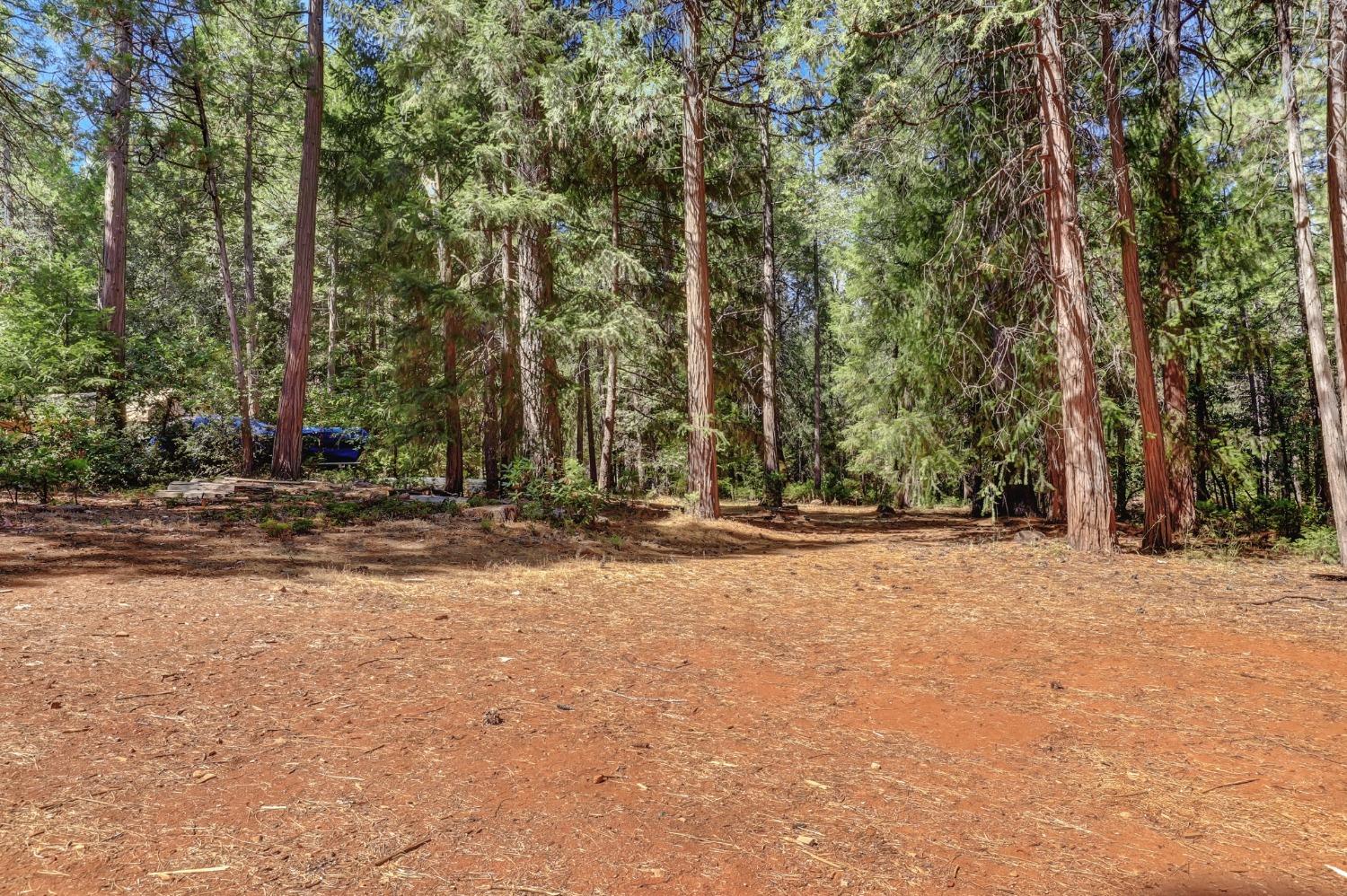 Detail Gallery Image 86 of 97 For 17153 Wild Plum Ln, Nevada City,  CA 95959 - 2 Beds | 2 Baths