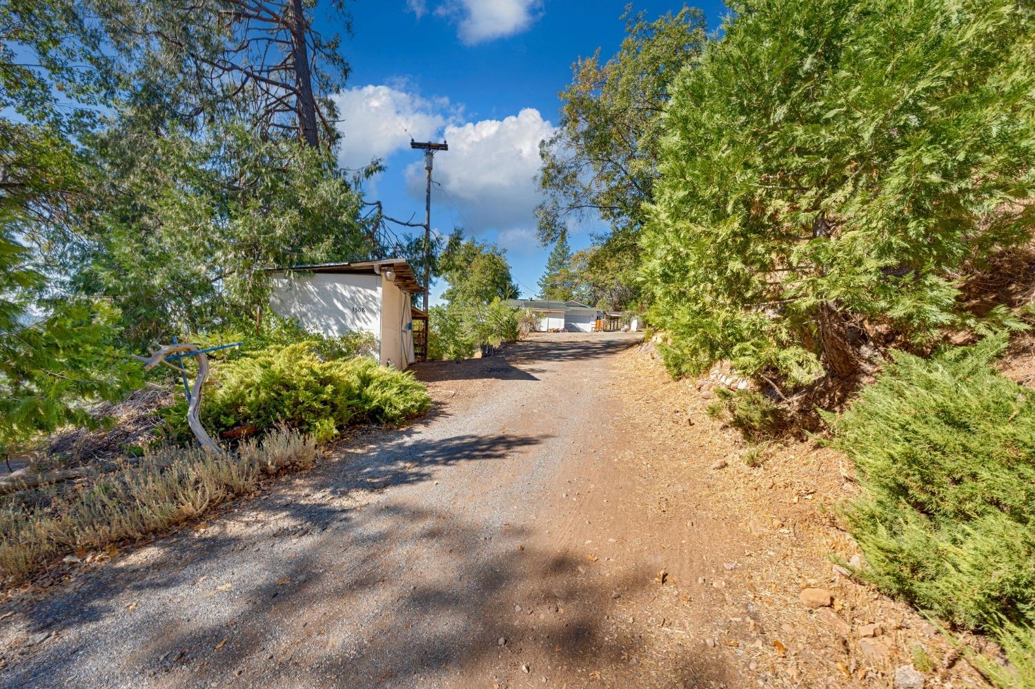 Detail Gallery Image 51 of 68 For 3508 Braden Ln, Camino,  CA 95709 - 3 Beds | 2 Baths