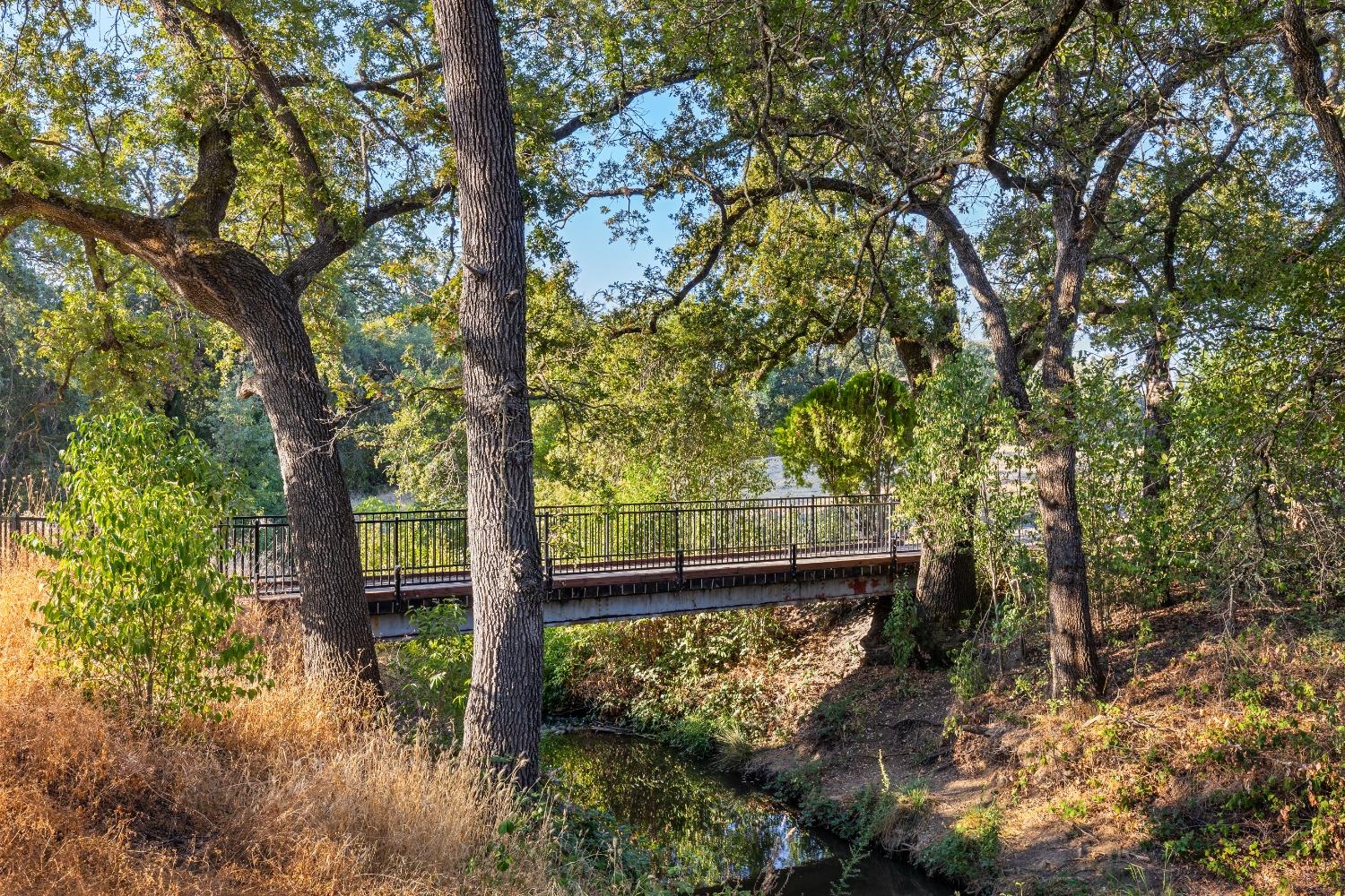 Detail Gallery Image 24 of 62 For 3320 Argonaut Ave, Rocklin,  CA 95677 - 3 Beds | 2 Baths