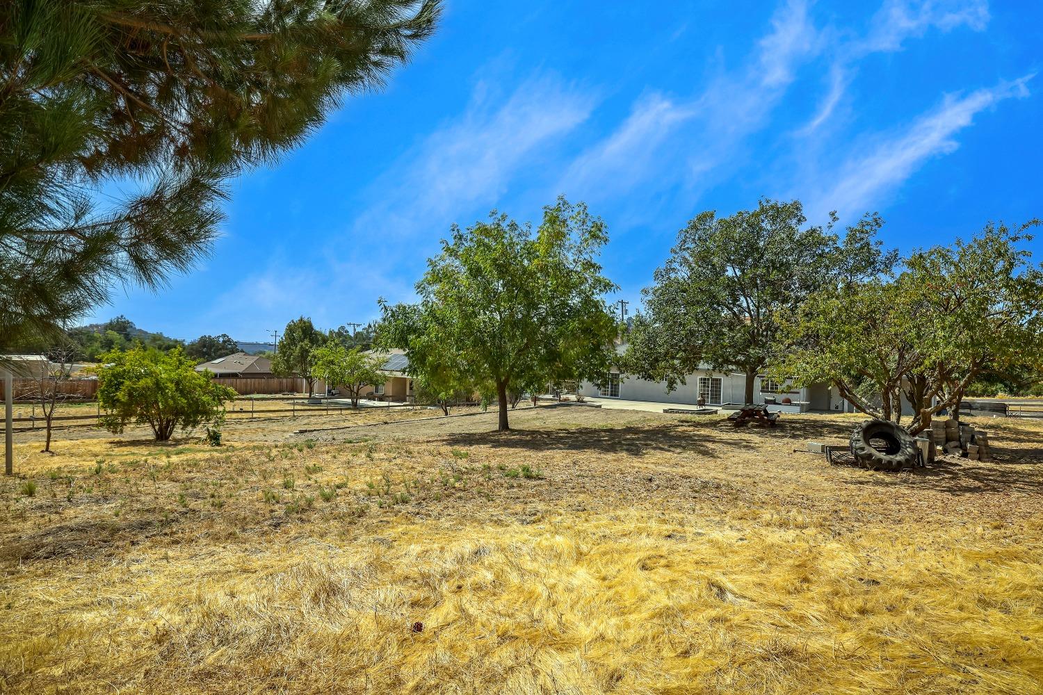 Detail Gallery Image 51 of 78 For 2405 Berkesey Dr, Valley Springs,  CA 95252 - 3 Beds | 2 Baths