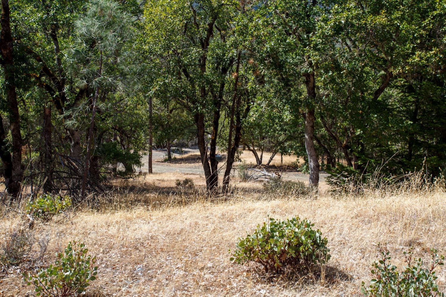 Rush Creek Road, Lewiston, California image 3