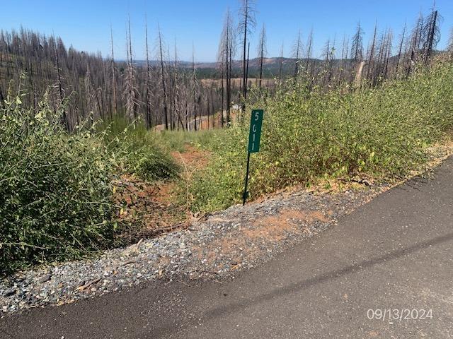 Rollingwood Drive, Grizzly Flats, California image 12