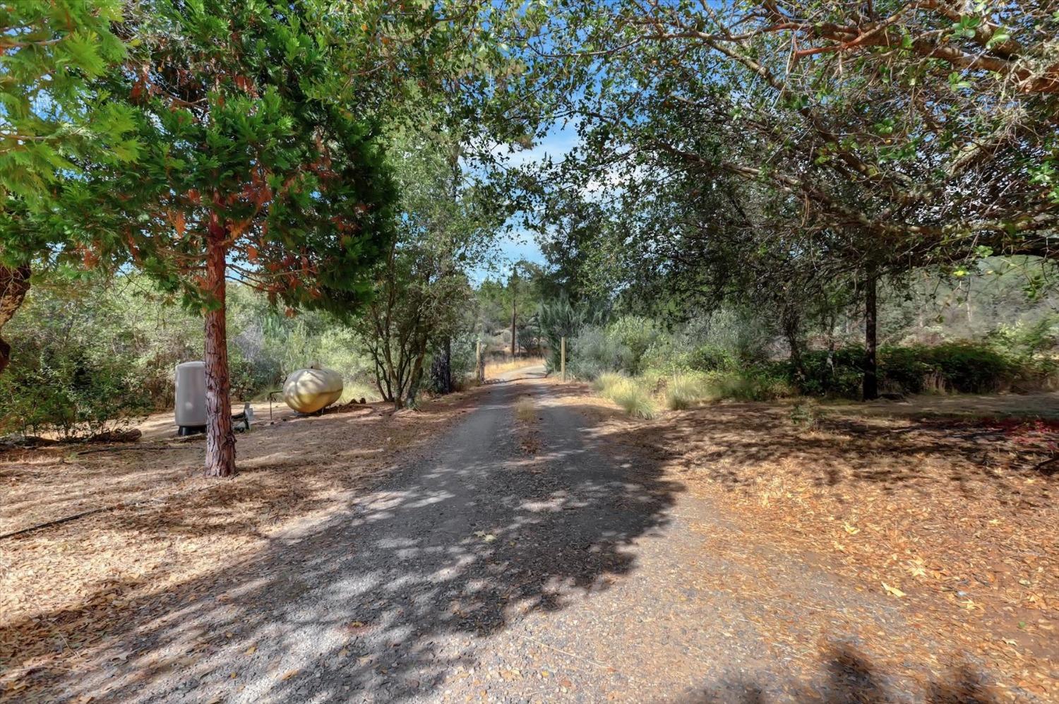 Detail Gallery Image 79 of 82 For 13807 Bluebird Way, Oregon House,  CA 95962 - 5 Beds | 4 Baths