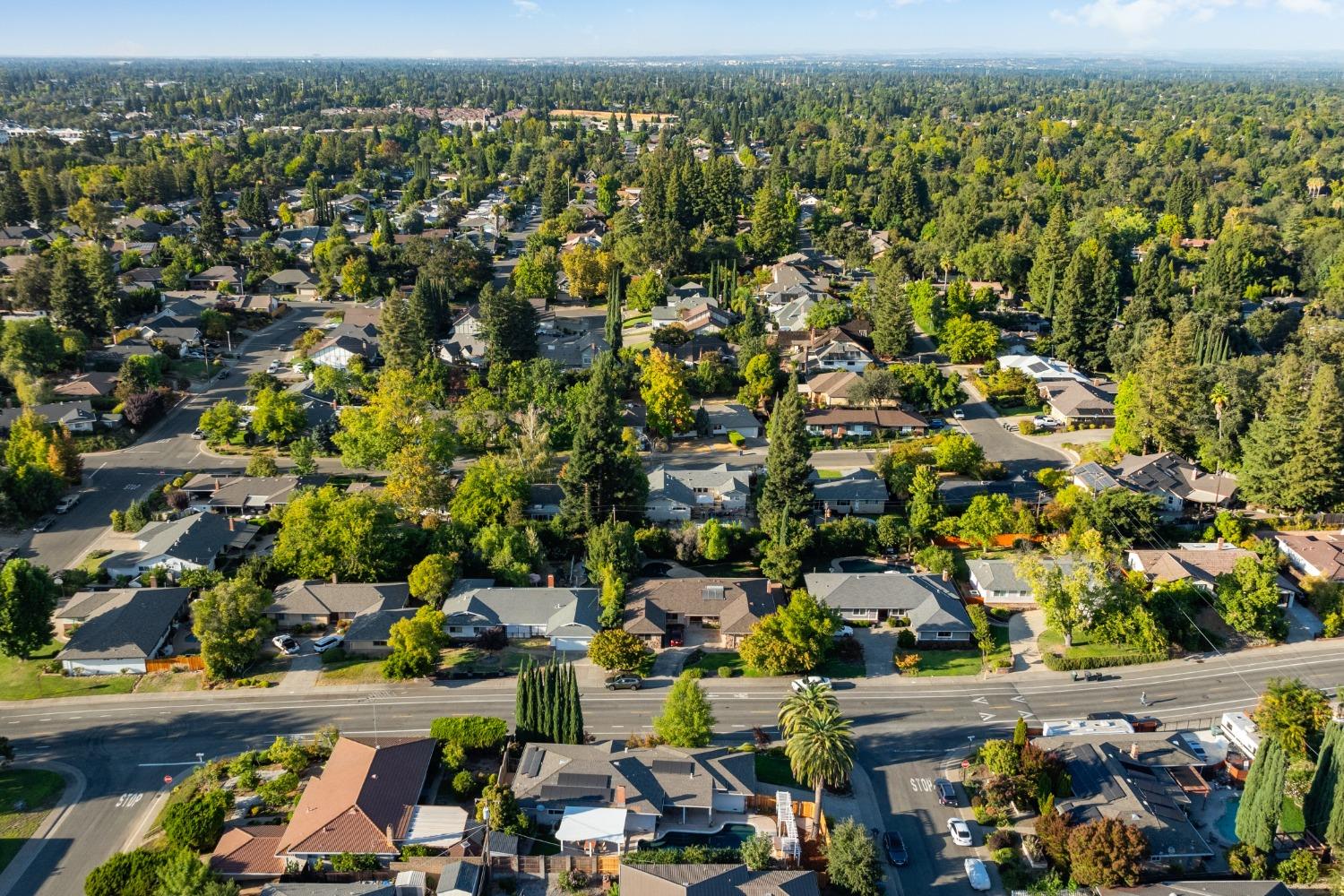 Treecrest Avenue, Fair Oaks, California image 49