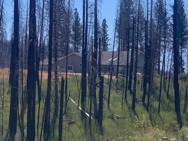 Rollingwood Drive, Grizzly Flats, California image 18