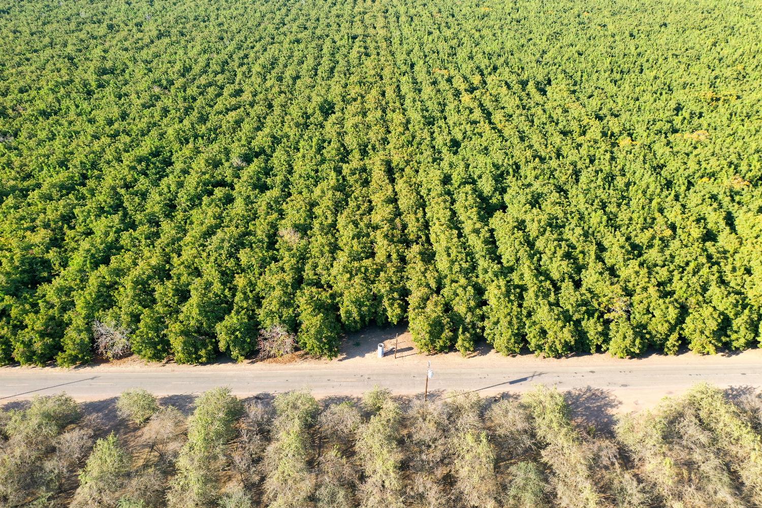 Anderson Road, Newman, California image 6